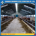 Establos de caballos prefabricados Diseño Estructura de acero Edificios de granja de vacas